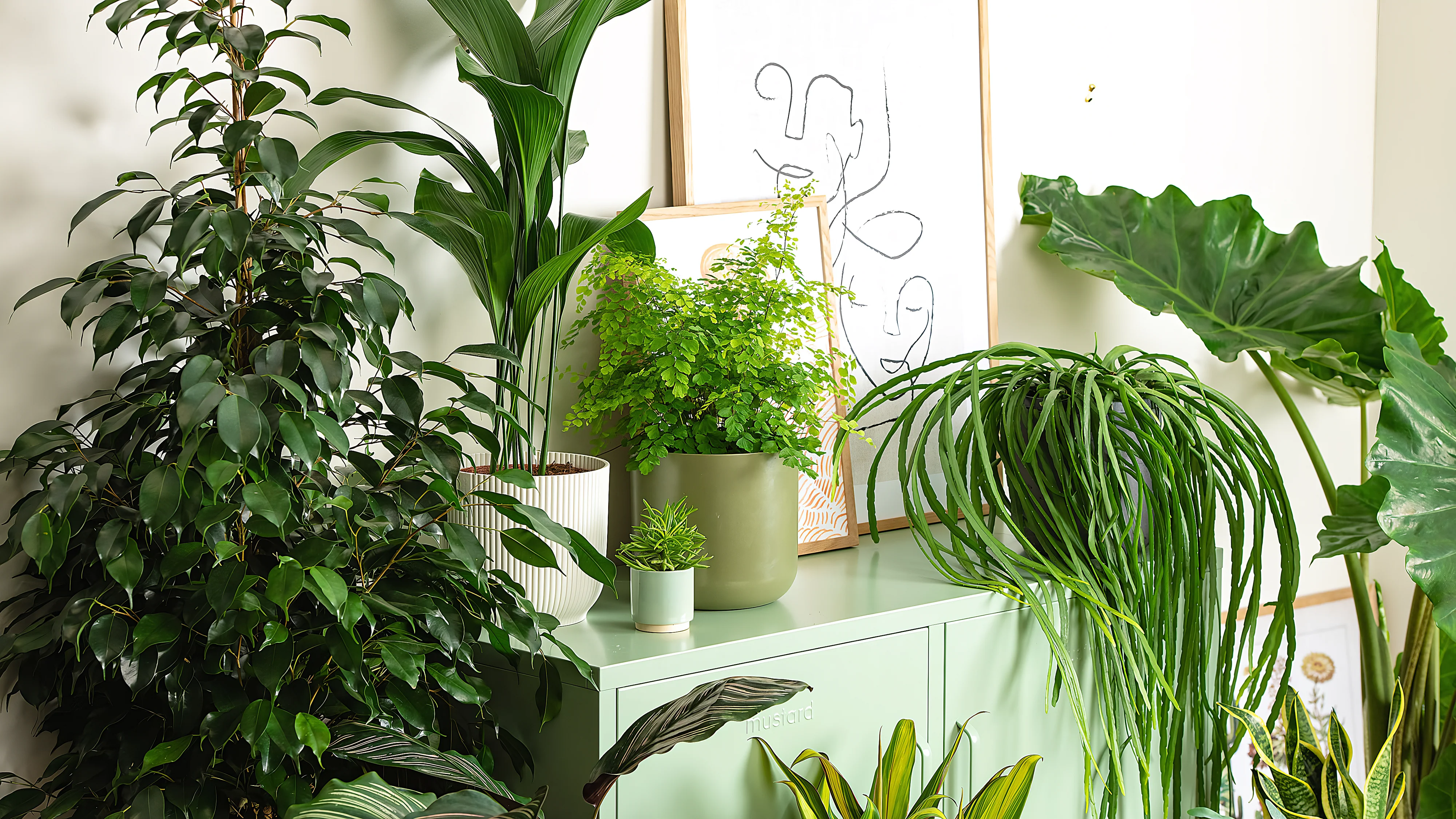 Grow Your Own Indoor Jungle