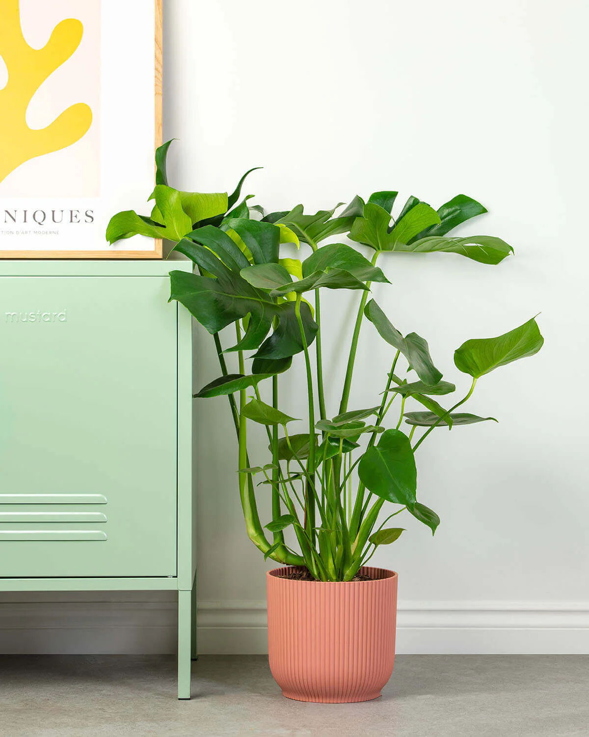 Thumb 4